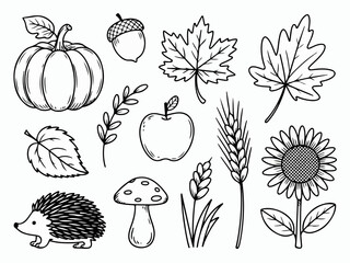 Hand-drawn autumn elements collection including pumpkin leaves acorn apple wheat sunflower mushroom and hedgehog perfect for seasonal design and decoration © Jibran
