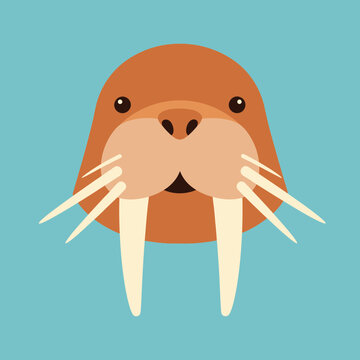 Cartoon walrus face with tusks.