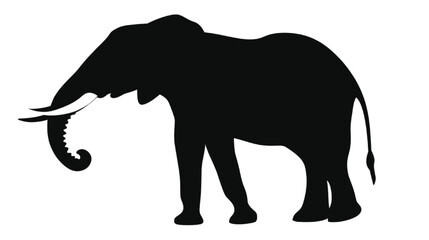 Fototapeta premium Black silhouette of an elephant standing with tusks and curled trunk on white background