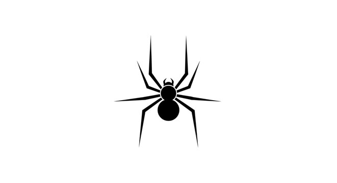 Black widow spider closeup view.