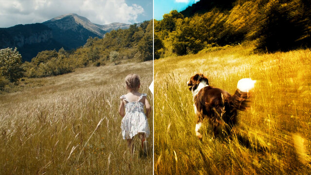 Premium Overlays Color Filters Cinematic &ndash; Professional Color Grading Effects, Film Look Overlays and Cinematic Visual Styles for Video Editing and Content Creation