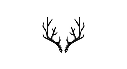 Deer antlers on white background. © Kueuh