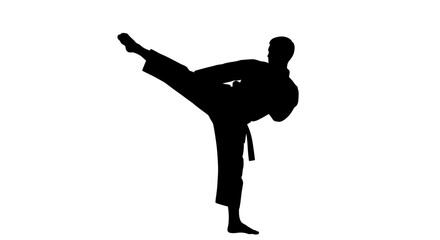Obraz premium Karate practitioner silhouette against a white background