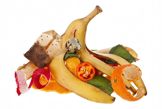Organic Kitchen Waste and Food Scraps for Composting