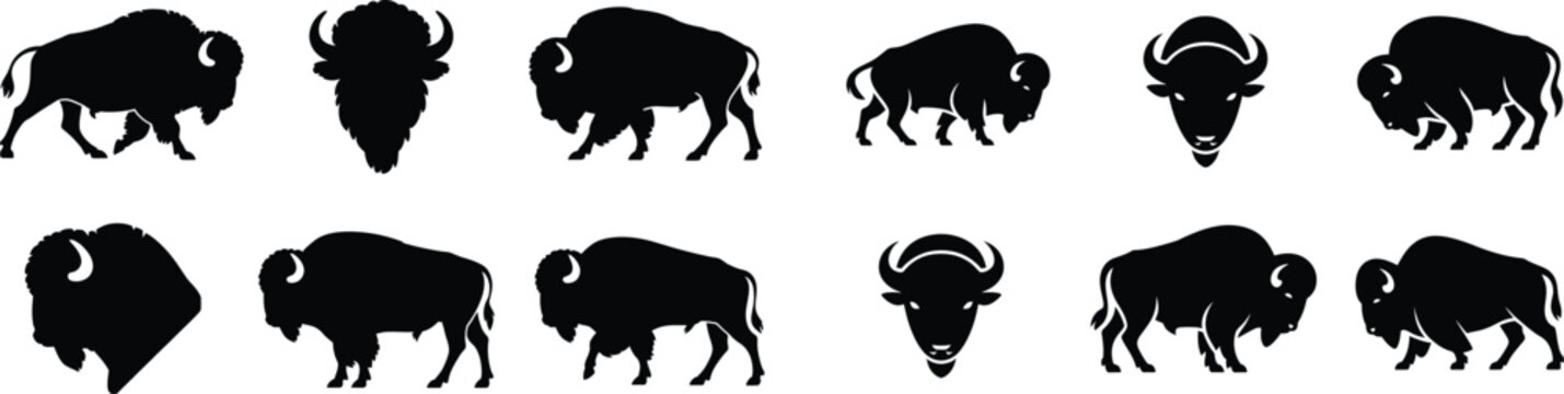 Set of silhouette bison or buffaloes on transparent background, various poses and angles, powerful wild american animals, graphic illustration.