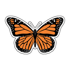 Orange Monarch Butterfly Wings Spread. © muel