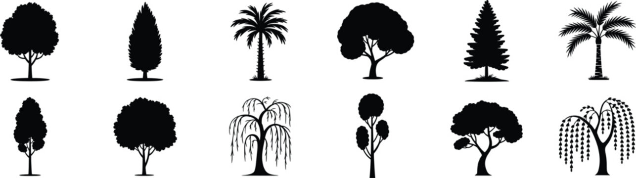 Set of black tree silhouettes isolated on transparent background for landscape architecture design elements collection in vector format bundle.