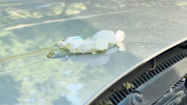A broken raw egg has splattered across the hood of a silver car. The yolk and shell fragments create a messy scene. This indicates a likely act of vandalism or a reckless accident.