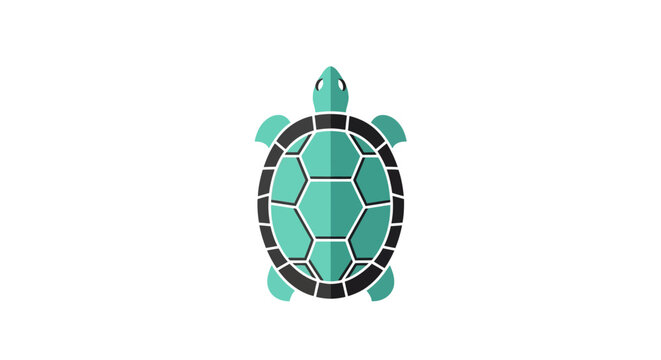 Turquoise turtle shell jewelry pendant.