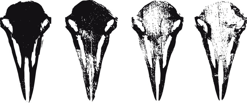 Four black and white raven skull illustrations with varying textures and shading styles