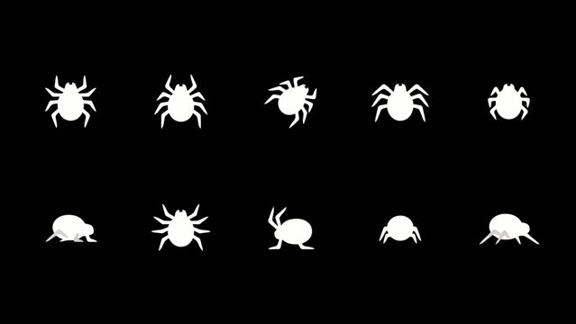 Collection of cute white spider and bug vector icons on black background