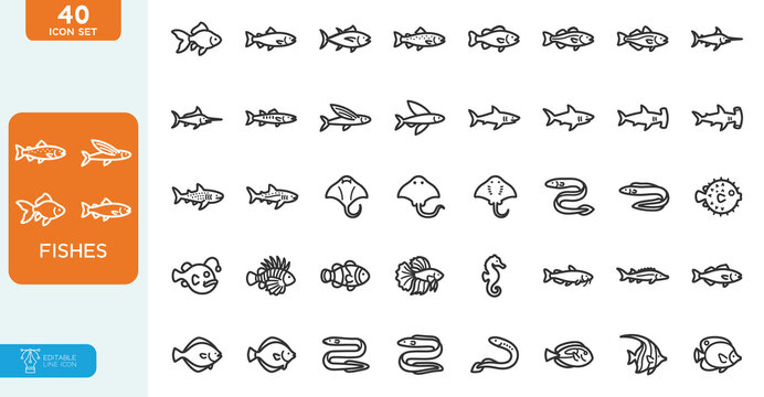 Fishes Vector illustration editable line icons set. Contain icons related to various kinds of fish, Freshwater fish, and more. on white background.