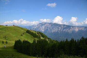 Obraz premium Scenic panoramic view of lush green rolling hills, deep pine forests, and majestic mountain peaks under a blue sky on the triple border trail in Slovenia.