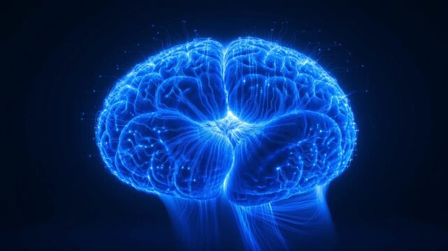 Luminous blue digital brain model with glowing neural pathways, representing artificial intelligence.