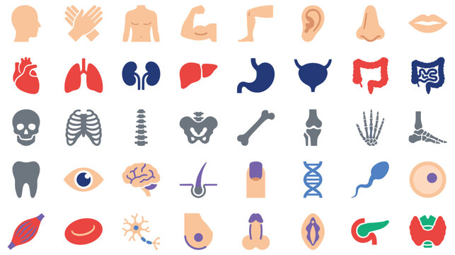 Collection of colorful medical icons depicting human organs and body anatomy.