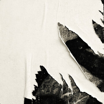 Old ripped torn black and white fly posters textures backgrounds grunge creased crumpled paper vintage collage placards square empty space for text	