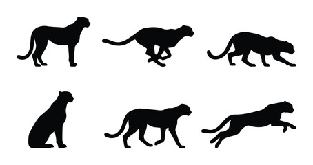 Black Cheetah Silhouettes Set: Dynamic Poses of Big Cat Vector Graphics for Wildlife and Sports Themes © Sohel