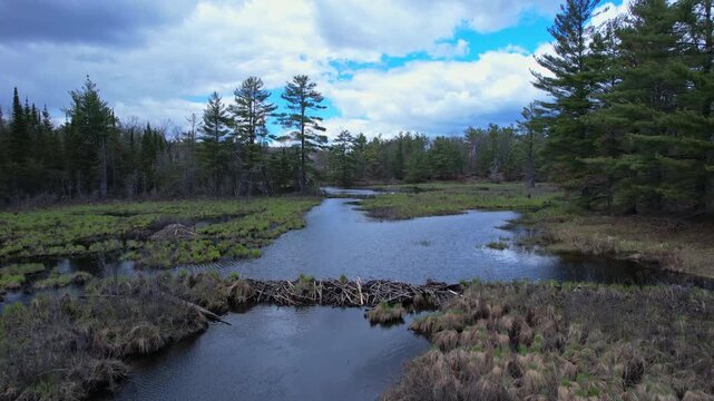 Aaerial view of crown land wetlands near the forest road and the lake on the side. Beautiful view for exploring. Road trip. Blue sky forest landscape. Ontario, Havelock-Belmont-Methuen.