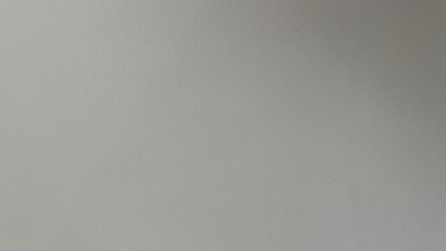 White Synthetic Leather Texture Background