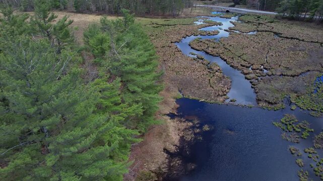 Aaerial view of crown land wetlands near the forest road and the lake on the side. Beautiful view for exploring. Road trip. Blue sky forest landscape. Ontario, Havelock-Belmont-Methuen.