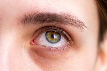 Fototapeta premium Close up human eye with green and hazel iris, eyebrow and eyelashes. Detailed ophthalmology and vision concept. Macro photography. Design for poster, banner, brochure, medical article. Macro shot