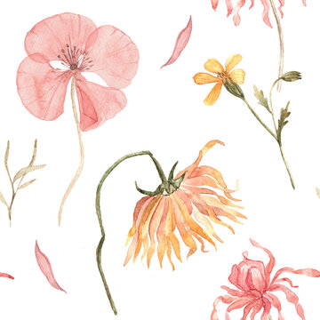 Seamless watercolor pattern with colorful dried autumn flowers and botanical elements. Bright hand painted floral composition for seasonal textile and decor