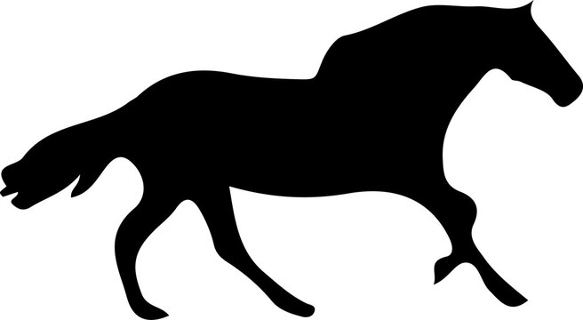 Horse and Donkey Wild Animals Silhouette Collection