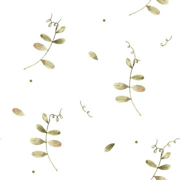 Seamless watercolor pattern with sweet pea leaves and delicate curling tendrils. Fresh green botanical design ideal for nursery decor, eco design