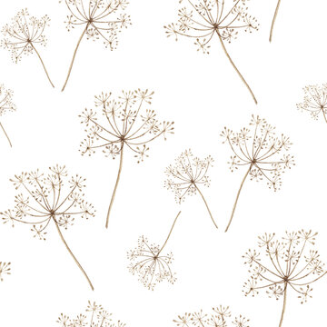 Seamless watercolor pattern with dill umbels in light herbal style. Soft botanical, eco design, kitchen textile, packaging, menu design, rustic decor