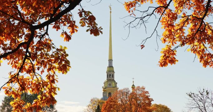 The golden spire of the Peter and Paul Fortress through yellow leaves in Saint-Petersburg - Russia at sunny autumn day, cross with angel on spire, red leaves, sunset, clear sky