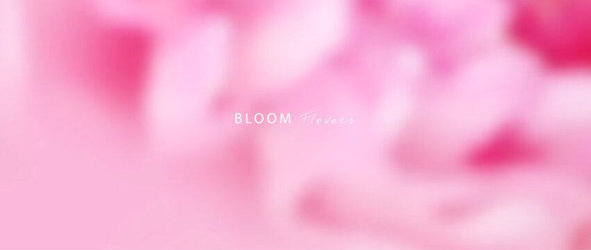 Spring or summer vector blurred gradient background. Soft and pastel floral template with blur effect. Pink and rose color.