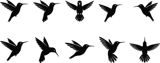 Hummingbird silhouettes showing various flight positions isolated on a white background for graphic design. © Fazla Rabbi