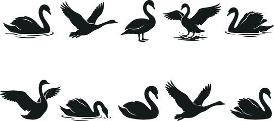 Fototapeta premium Black swan silhouettes in various poses isolated on a white background for design and creative projects.