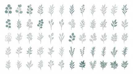 Fototapeta premium Large Collection of Hand Drawn Botanical Branch Sketches, Minimalist Floral Foliage Icons for Wedding Invitations and Logo Design