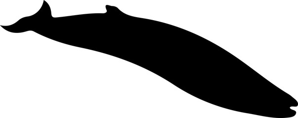 Marine Life and Sea Creatures Silhouette Collection © kihun