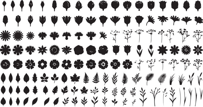 Premium botanical elements and floral vector silhouette collection. Featuring elegant wildflower bouquets, blooming hydrangea branches, garden leaves, foliage sprigs, plant stems, and tree twigs. 