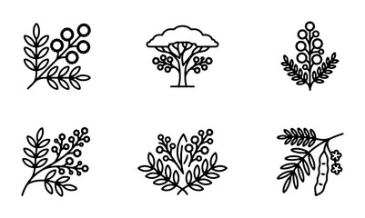 Botanical Line Art Icons: Delicate Floral Sprigs, Acacias, and Seed Pods, Minimalist Nature Elements for Organic Design © Farzana
