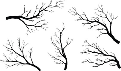 Obraz premium Detailed black silhouettes of bare tree branches reaching out to create an eerie winter mood on a stark white background.