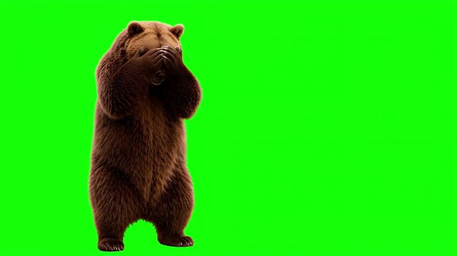 Realistic 3D grizzly bear doing a facepalm gesture, frustration and mistake concept isolated on chroma key green screen background, Covering Face, Disappointment, Stress, Regret, Failure, Error