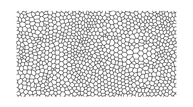 Abstract Geometric Pattern: Hexagonal Cells, Organic Network, Cellular Structure