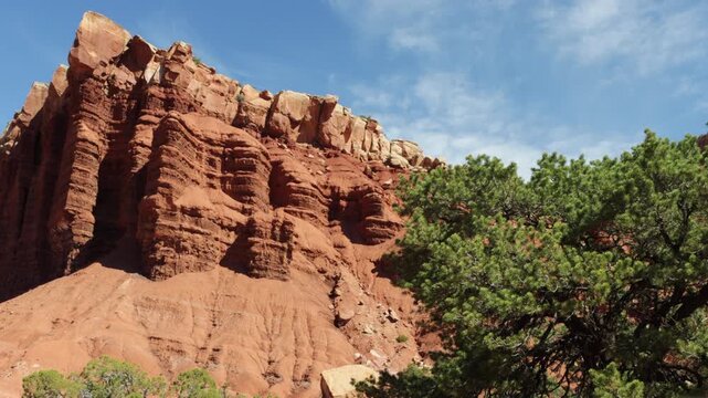 Early morning light on massive rock cliffs and blowing trees in Capitol Reef National Park in Utah