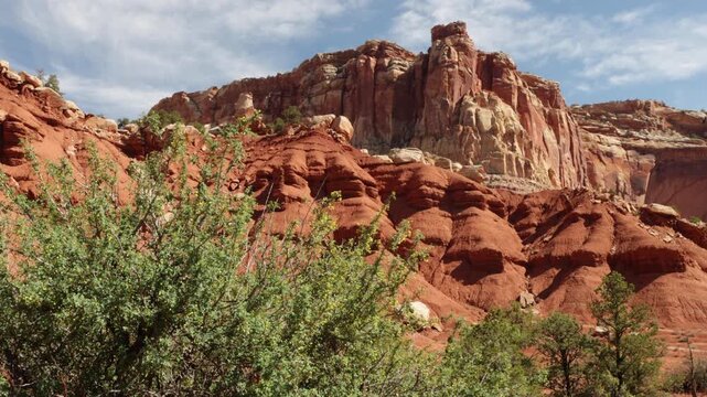 Early morning light on massive rock cliffs and blowing trees in Capitol Reef National Park in Utah