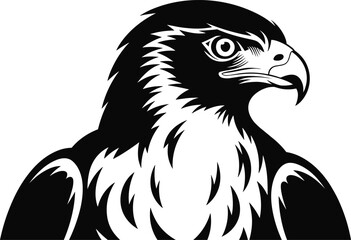Fototapeta premium Falcon bird head profile black and white detailed illustration