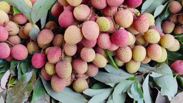 Cinematic Fresh Ripe Red Litchi Lychee Fruits Stacked with Green Leaves in Local Fruit Market Background of Bangladesh