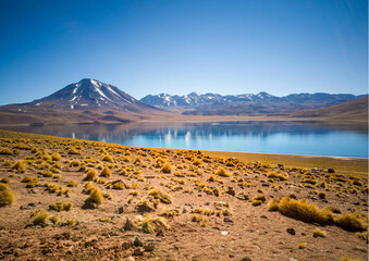 Laguna Miscanti, Deserto do Atacama, Chile © Patrcia