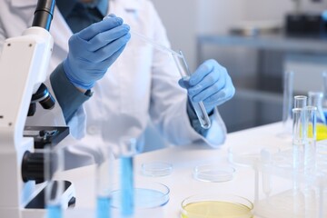 Fototapeta premium Laboratory testing. Scientist taking sample from test tube at white table indoors, closeup