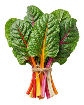 Bunch of colorful swiss chard isolated on transparent background