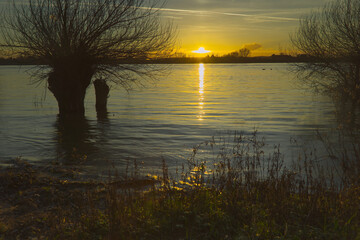 Idyllische Flusslandschaft am Rhein bei Sonnenuntergang mit Kopfweiden © Okratek