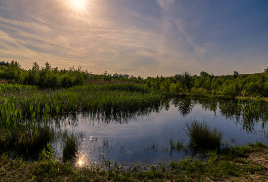 Teich