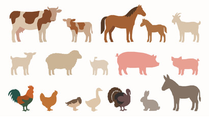Obraz premium Modern Farm Animal Collection Vector Illustration